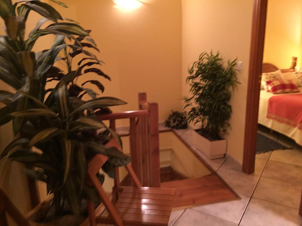 La Fusteria Del Casat Apartment Sarroca de Bellera Екстериор снимка